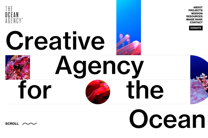 The Ocean Agency website preview